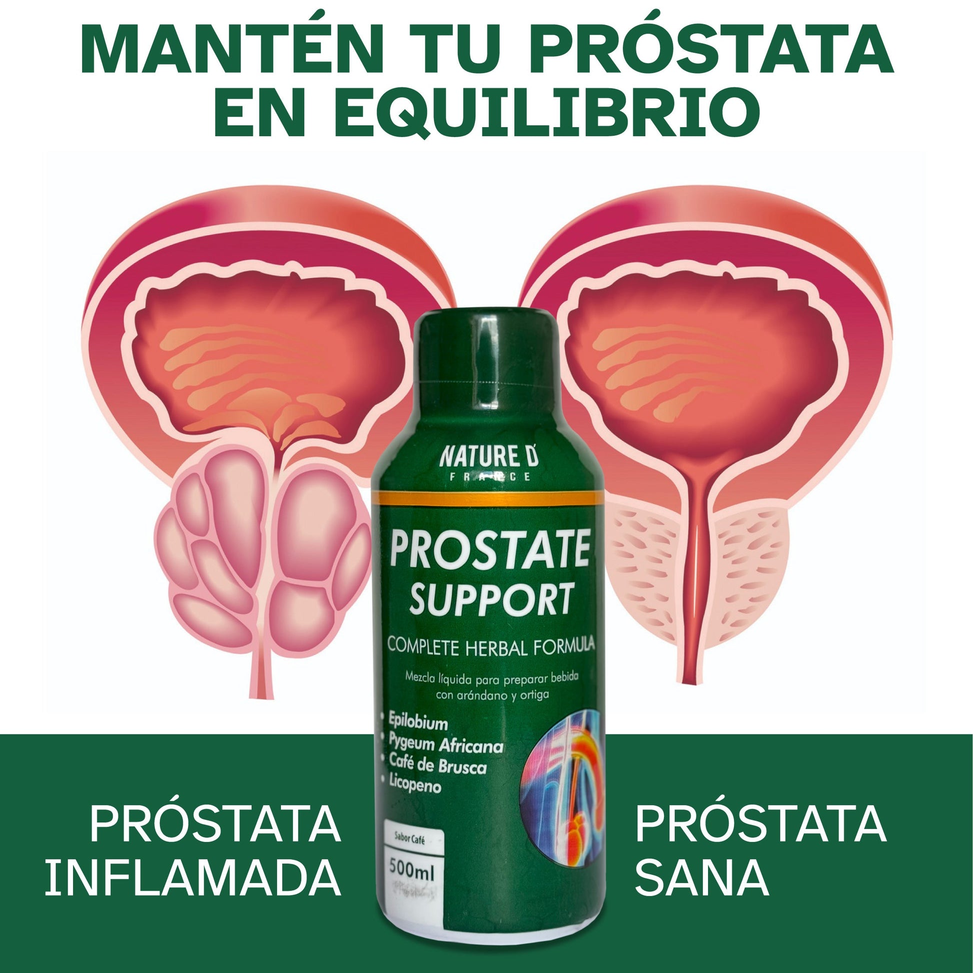 gid://shopify/MediaImage/24566337634398