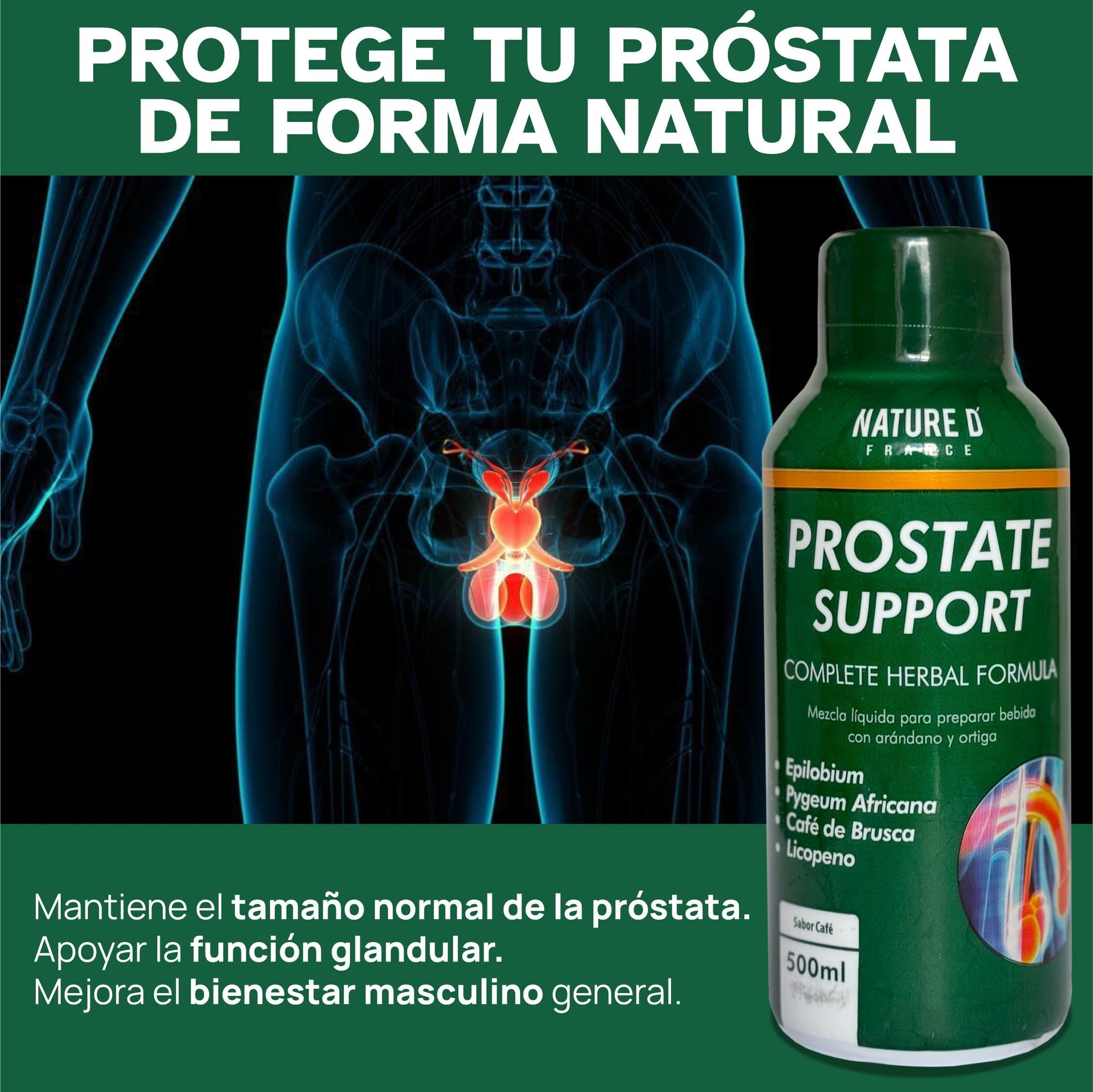 gid://shopify/MediaImage/24566337732702