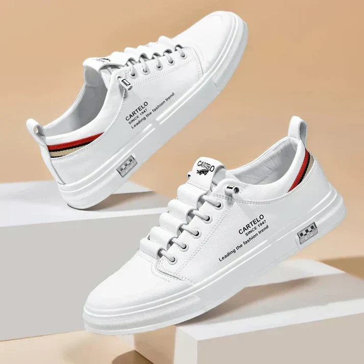 gid://shopify/MediaImage/24532702724190