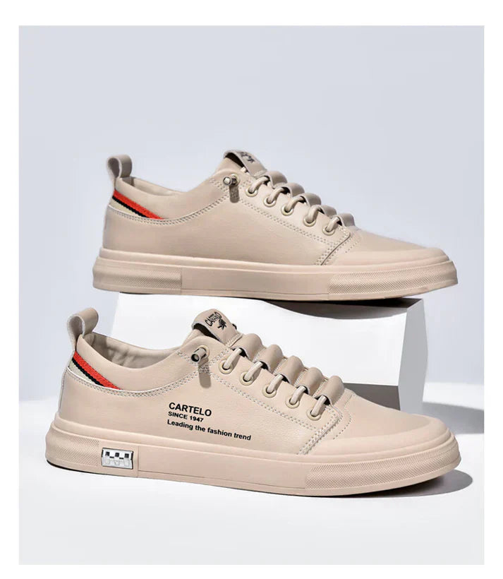 gid://shopify/MediaImage/24532702789726