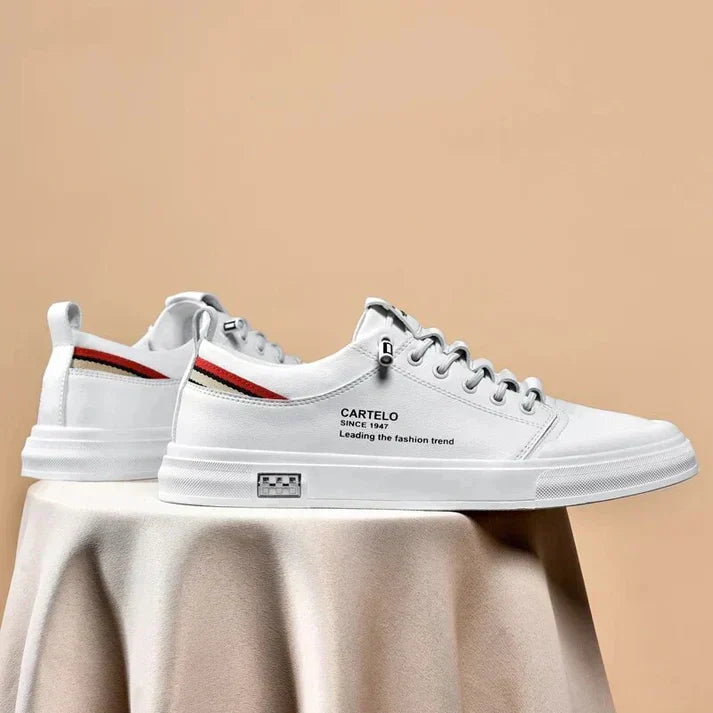 gid://shopify/MediaImage/24532702822494