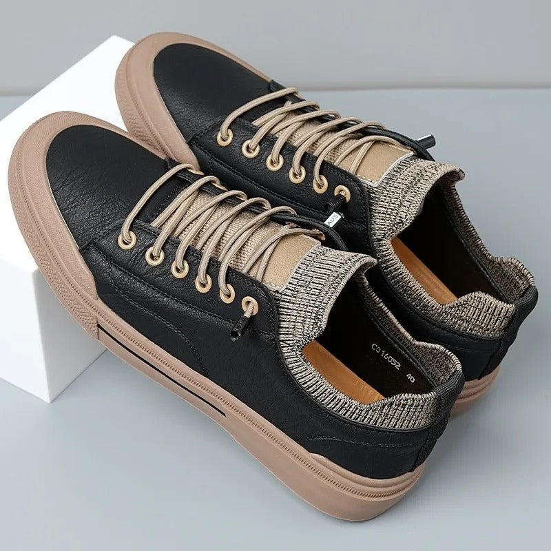 gid://shopify/MediaImage/24566352019550