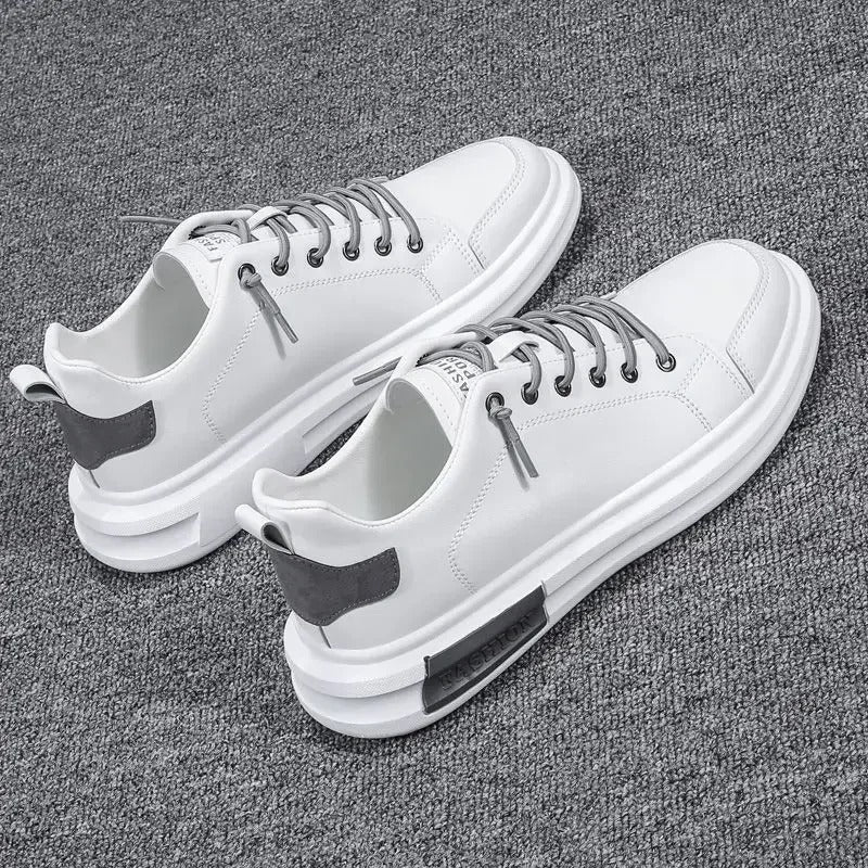 gid://shopify/MediaImage/24532719763550